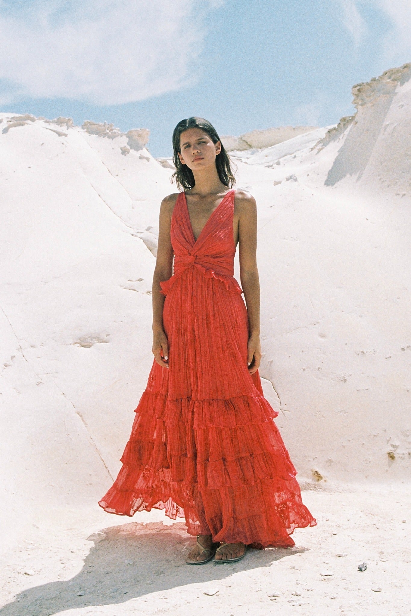 CAMELLIA DRESS